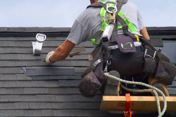 Best Roof Gutter Cleaning  in Jacksboro, TN