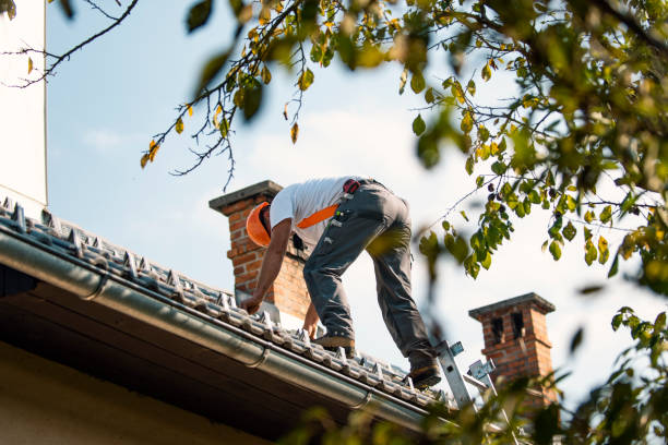 Best Slate Roofing Contractor  in Jacksboro, TN